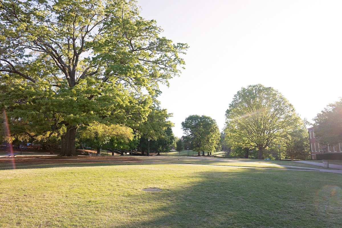 Beeson Divinity School tweet media