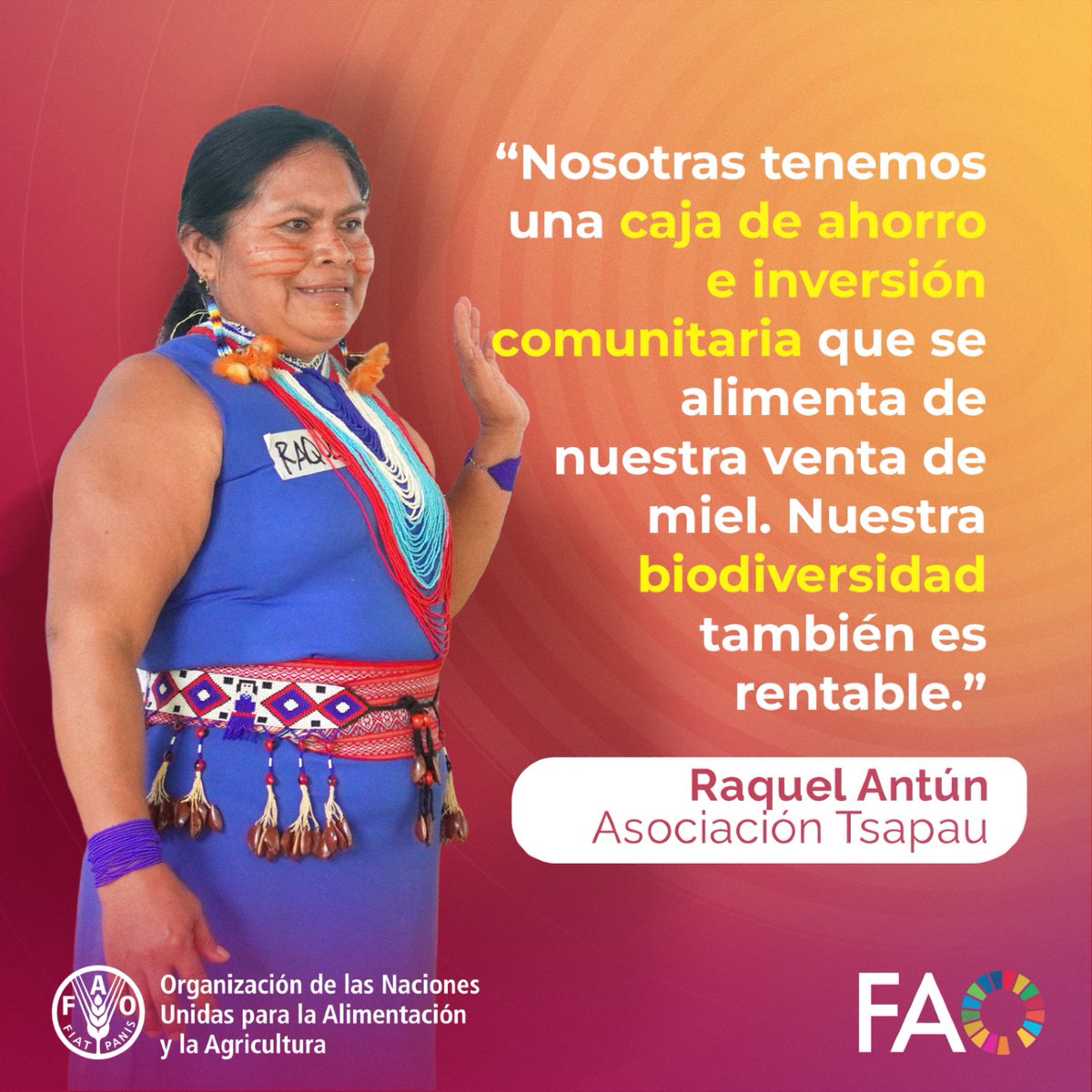 FAO Ecuador tweet media