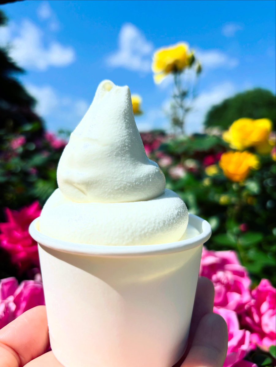 DefTech908's tweet photo. 🍦🌹🦆 https://t.co/5WnqOf7BGs