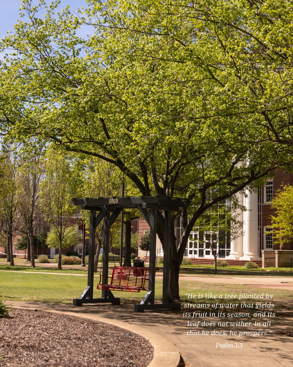 UnionUniversity tweet media