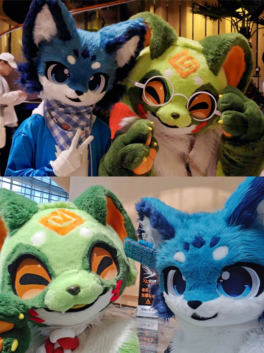 CcXixi77080's tweet photo. 最近2回のhifurryで、つゆまる、犬汰、いずな、リオンと撮った写真です。みんなとってもかわいい~🥰 #Hifurry https://t.co/Maxidbs5g0