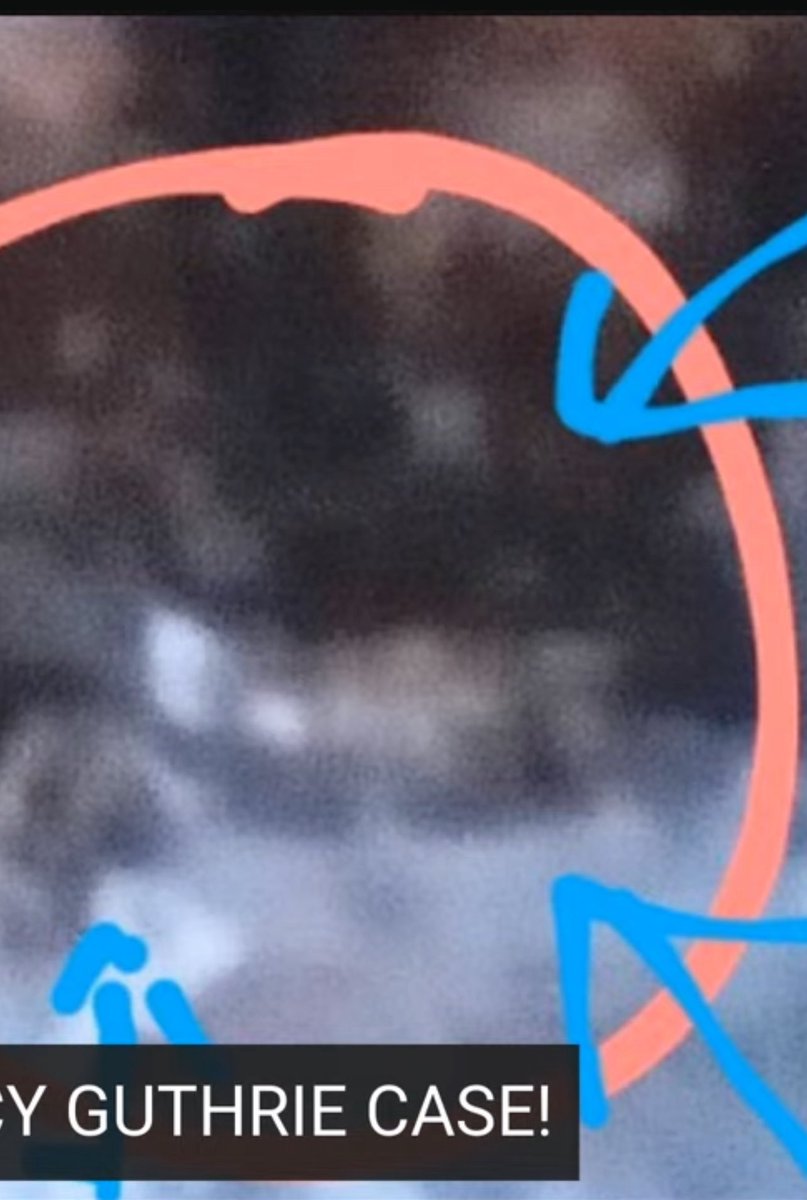 Daphne’s Case Files tweet media