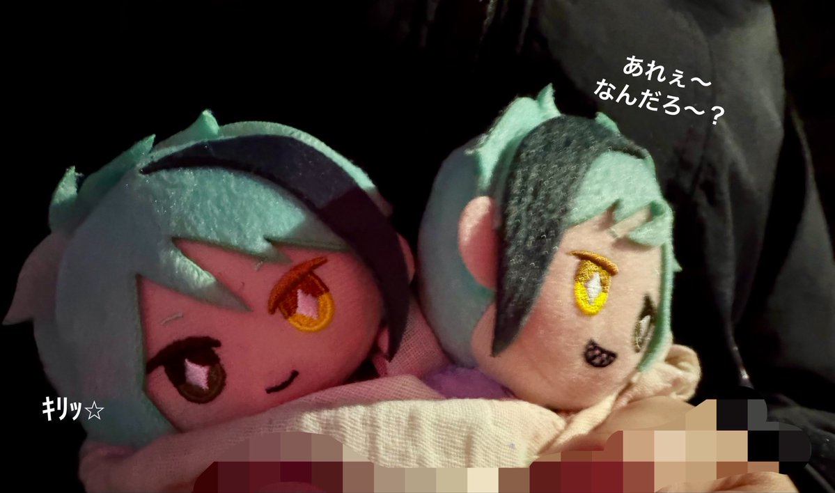 はまこのステ垢 tweet media