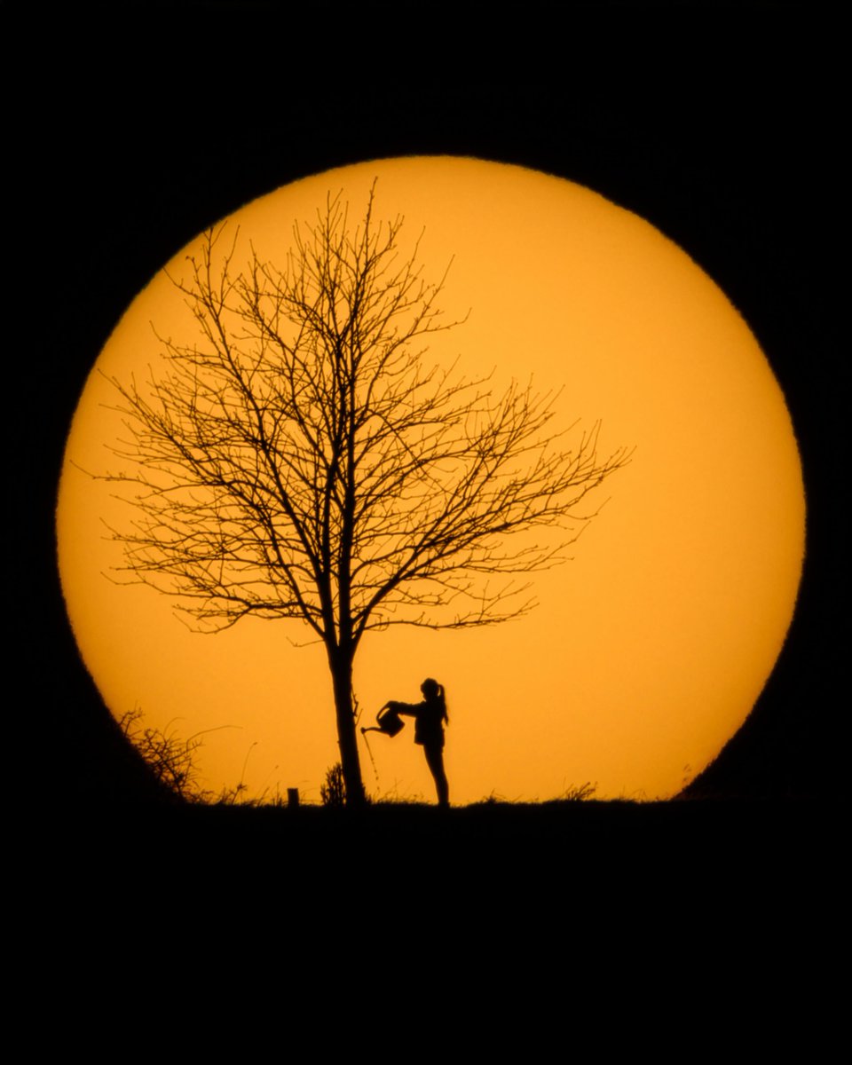 photopills's tweet photo. “It was my photographic dream. My little daughter and a tree with the sun setting on the hill that we see from our house.”
📷 Nikon Z 7 II | 600mm | ƒ/20 | 1/800s | ISO 64  | ND 1000
👉 Photo by Cris Froese.
📍 Planned with PhotoPills: https://t.co/P4CRT3PrlK https://t.co/0NsshqLlAd