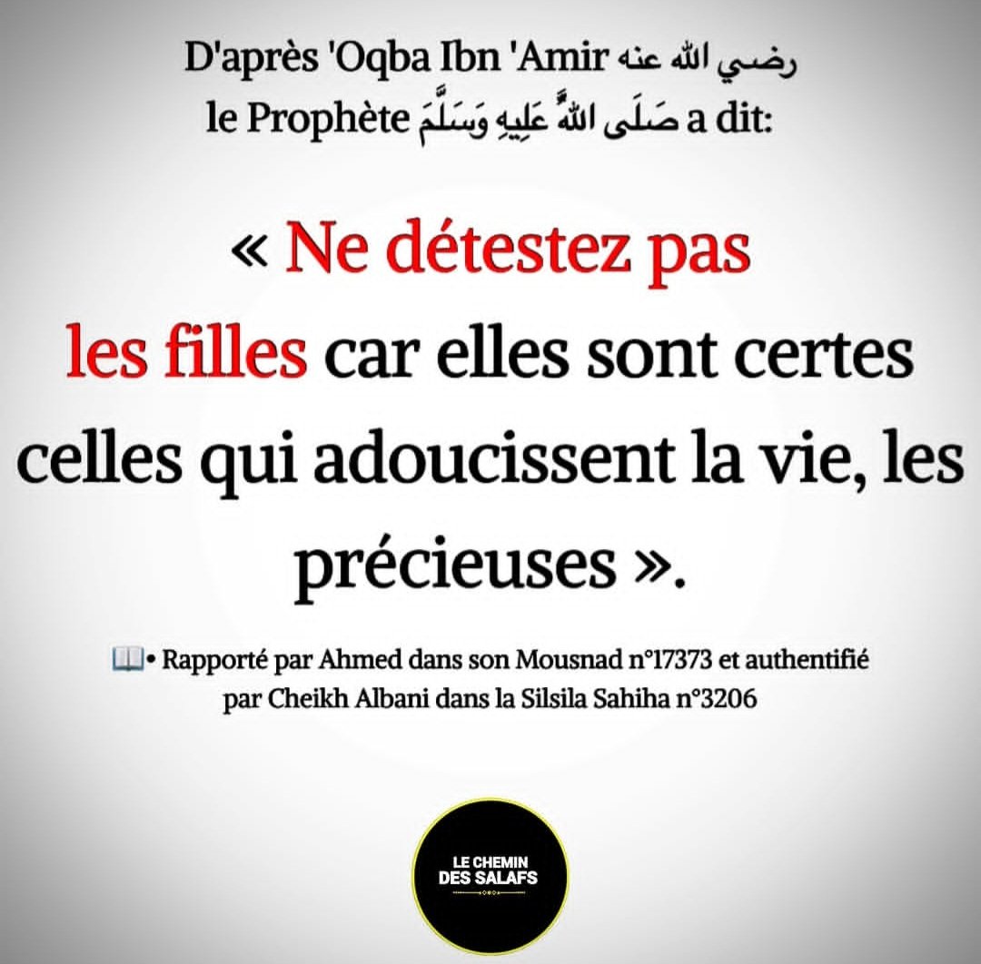 moussa_tawhid tweet media