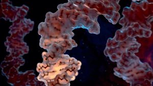 Nature Biotechnology tweet media