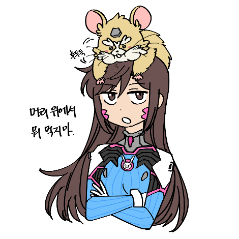 조똘복 tweet media
