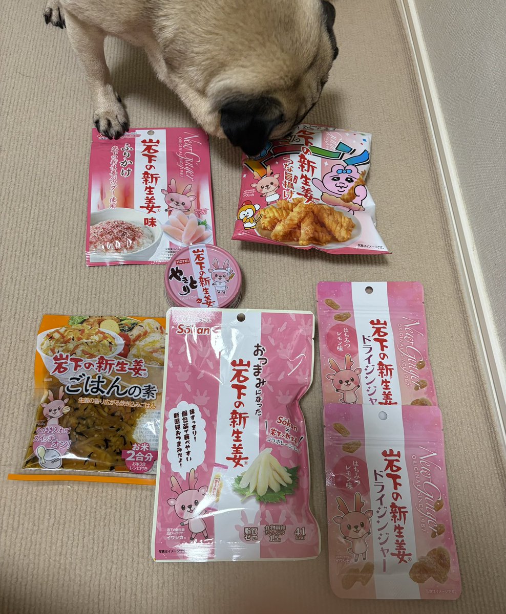 大根ちゃま tweet media