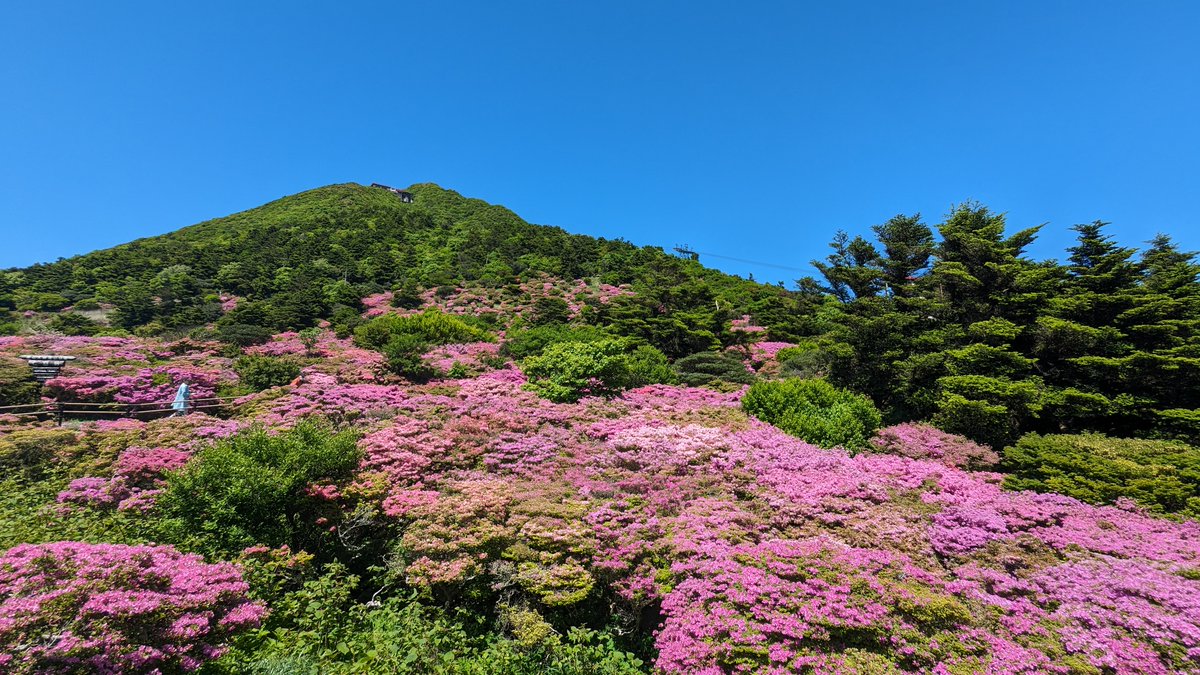 HUB 雲仙 / 泊まれるワークスペース @雲仙温泉 tweet media