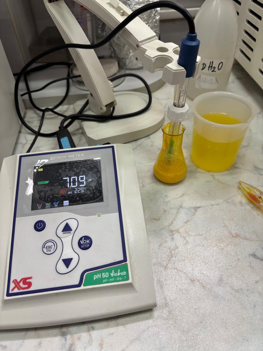 Polyphenol_Research tweet media