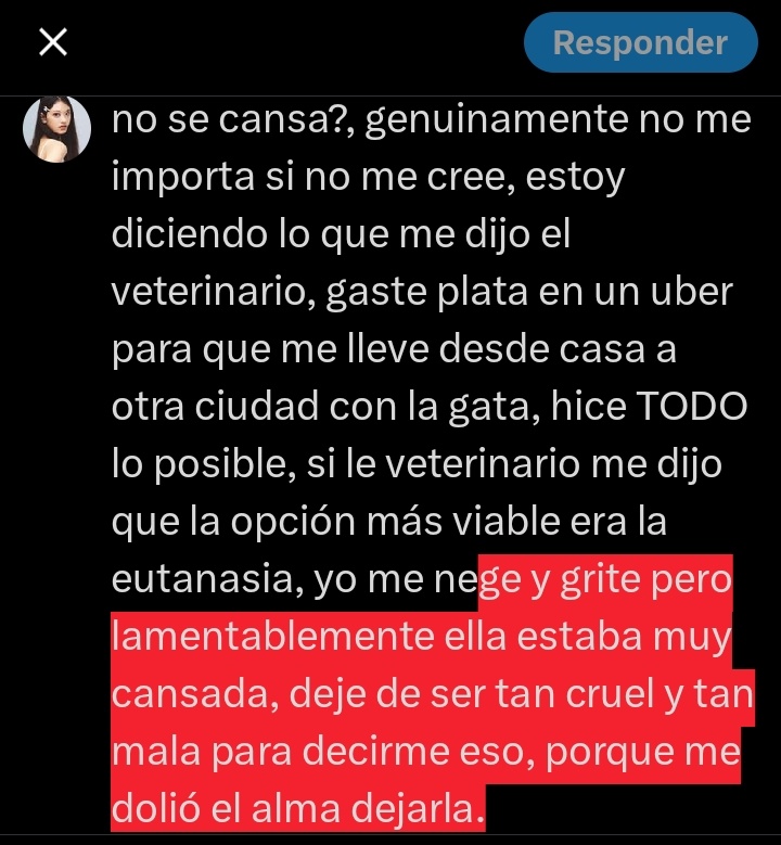 elaa˙⋆ tweet media