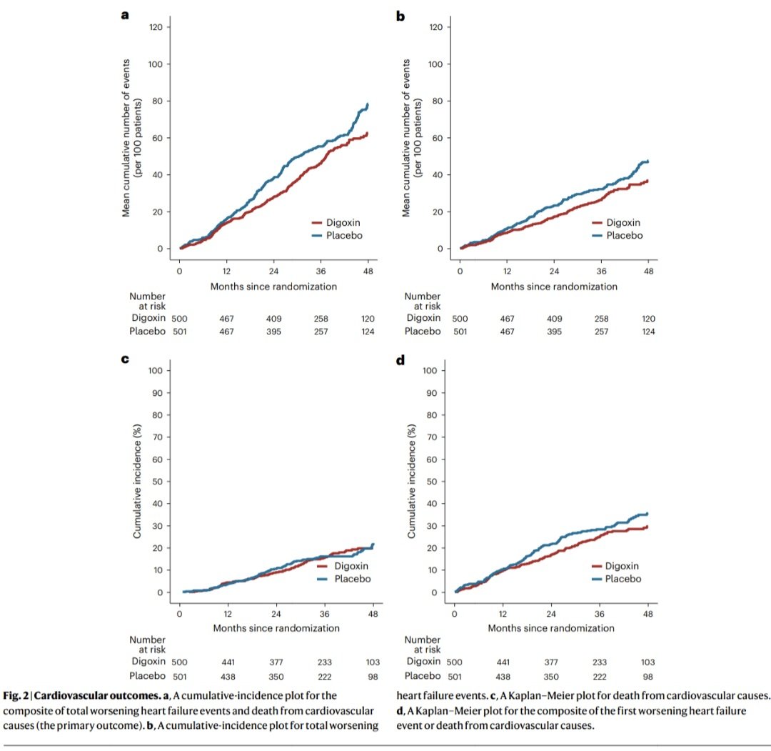 javier20ch's tweet photo. 🟩Digoxina en insuficiencia cardiaca de FEVI reducida & ligeramente reducida. 💊🫀
✨️📜DECISION trial.
🟢1,001 👥️ con IC sintomática y FEVI ≤50% bajo tratamiento contemporáneo optimizado🔀 digoxina a dosis bajas 🆚️ placebo, buscando concentraciones séricas de 0.5–0.9 ng/mL (low-dose).
🟢Tras un seguimiento mediano de 36.5 meses, la digoxina NO🚫 redujo significativamente el desenlace primario compuesto de eventos de empeoramiento de IC o muerte cardiovascular (RR 0.81; p=0.133). Tampoco disminuyó mortalidad cardiovascular ni mortalidad total. Sin embargo, sí mostró una tendencia consistente a menos hospitalizaciones por IC y menos eventos de descompensación [🫀💦🏥⤵️24%].
🟢La estrategia de “low-dose digoxin” demostró ser segura: no hubo incremento significativo en efectos adversos graves, bradiarritmias, bloqueos AV, necesidad de marcapasos ni eventos digestivos. 🙂👌🏻

📜🆓️⤵️
https://t.co/Y9ASxuJuVM
https://t.co/97B8RJdHrl
