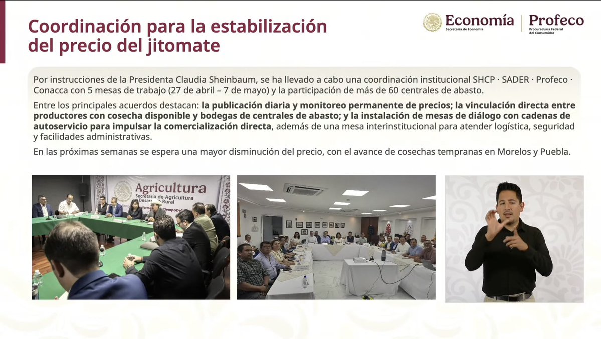 Ana Guízar V. tweet media