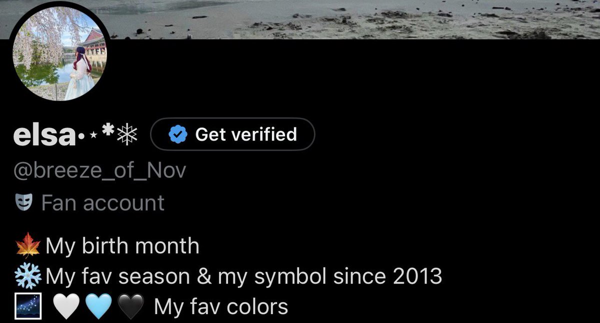November Breeze 🍁 tweet media