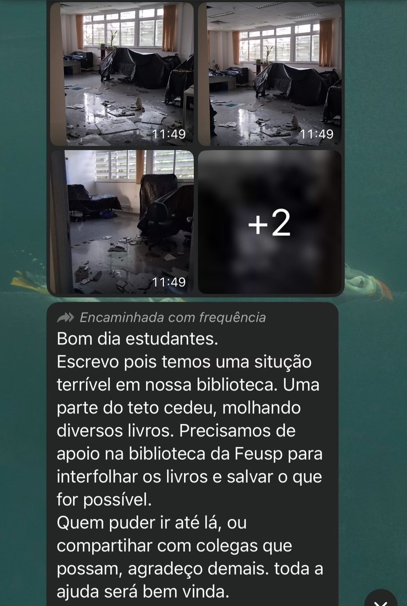 pingu 🐧 tweet media