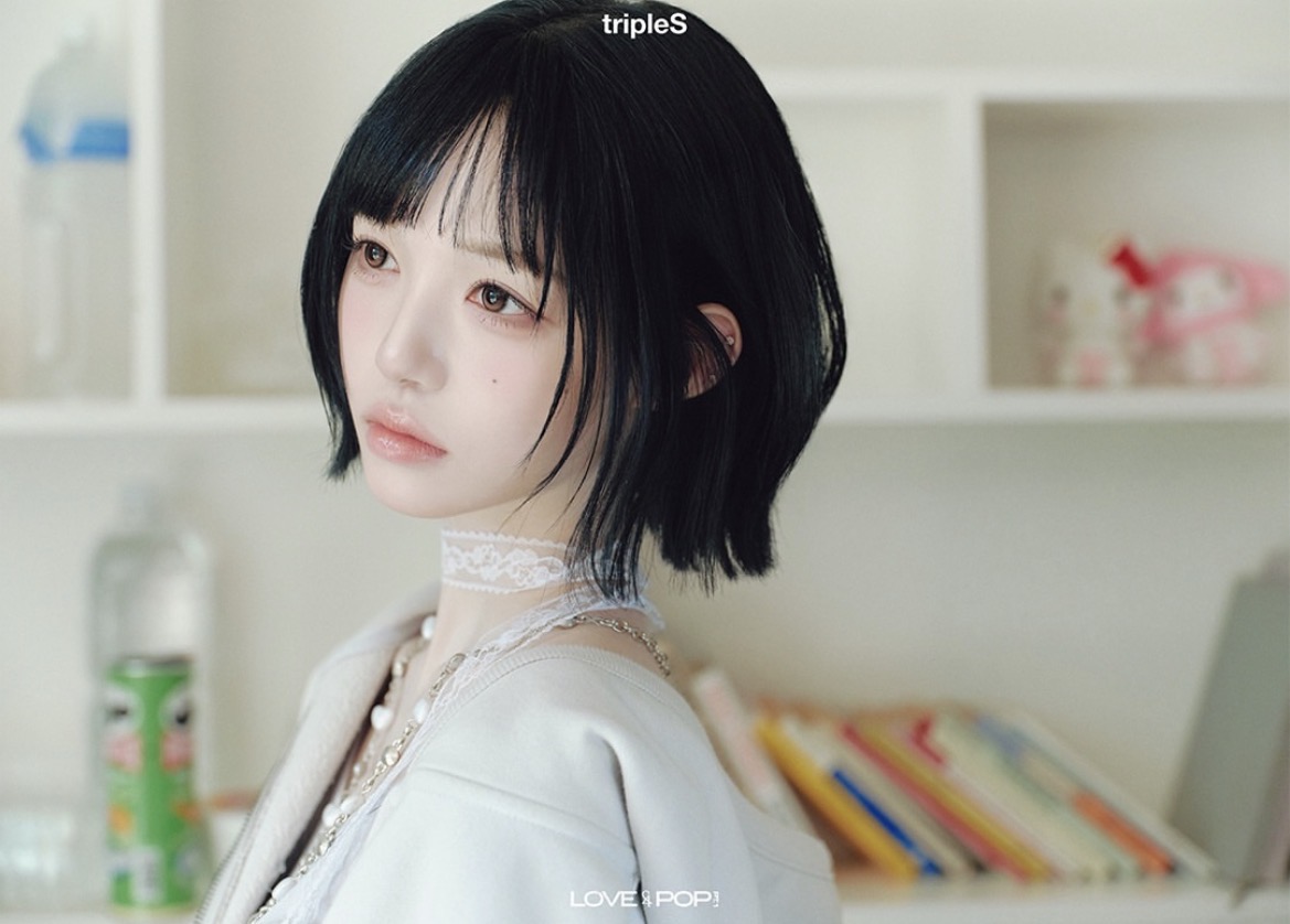 딸기 농장 tweet media