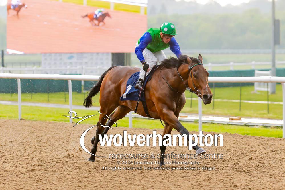 Wolverhampton Races tweet media