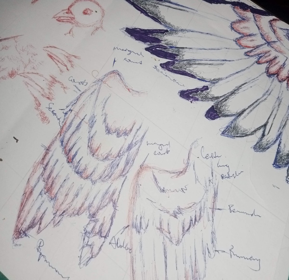 art Lod tweet media