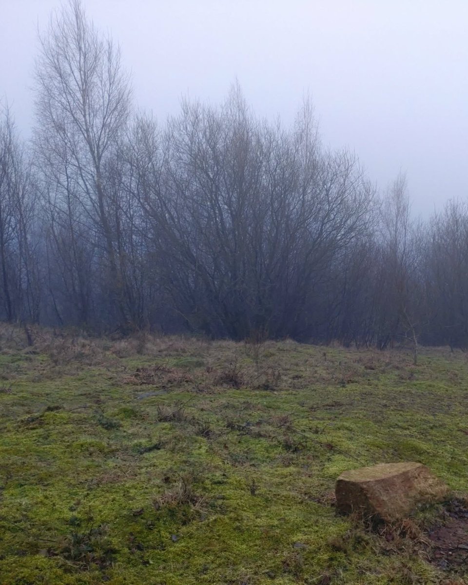 LtdCountryside's tweet photo. 🌱 Habitat Creation – Supporting the Dingy Skipper Butterfly

Back in February we worked alongside @savebutterflies  to carry out targeted scrub and vegetation clearance to help create and restore vital habitat for the Dingy Skipper butterfly. https://t.co/8GpNQjAESw