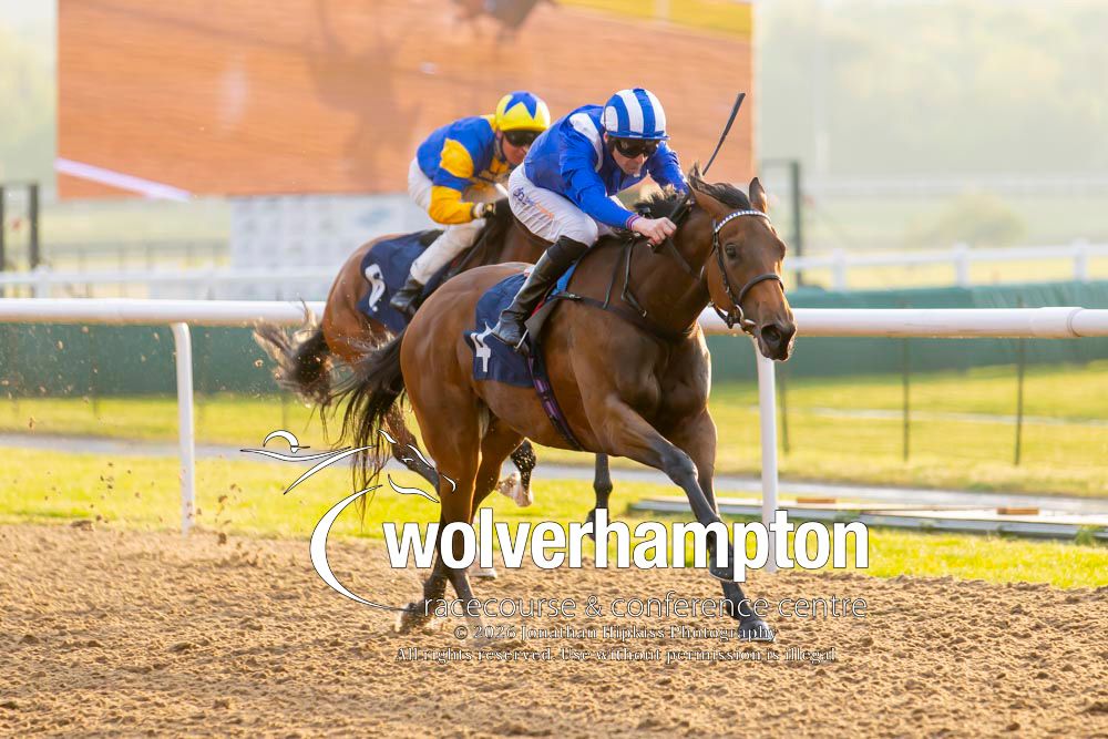 Wolverhampton Races tweet media