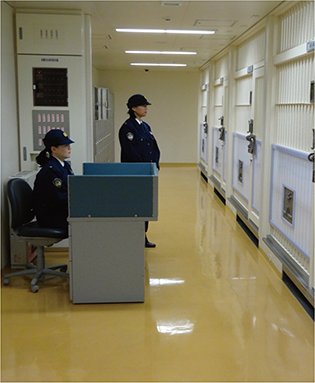 はるか tweet media