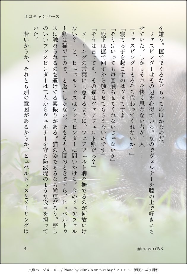 tturネコチャンバース