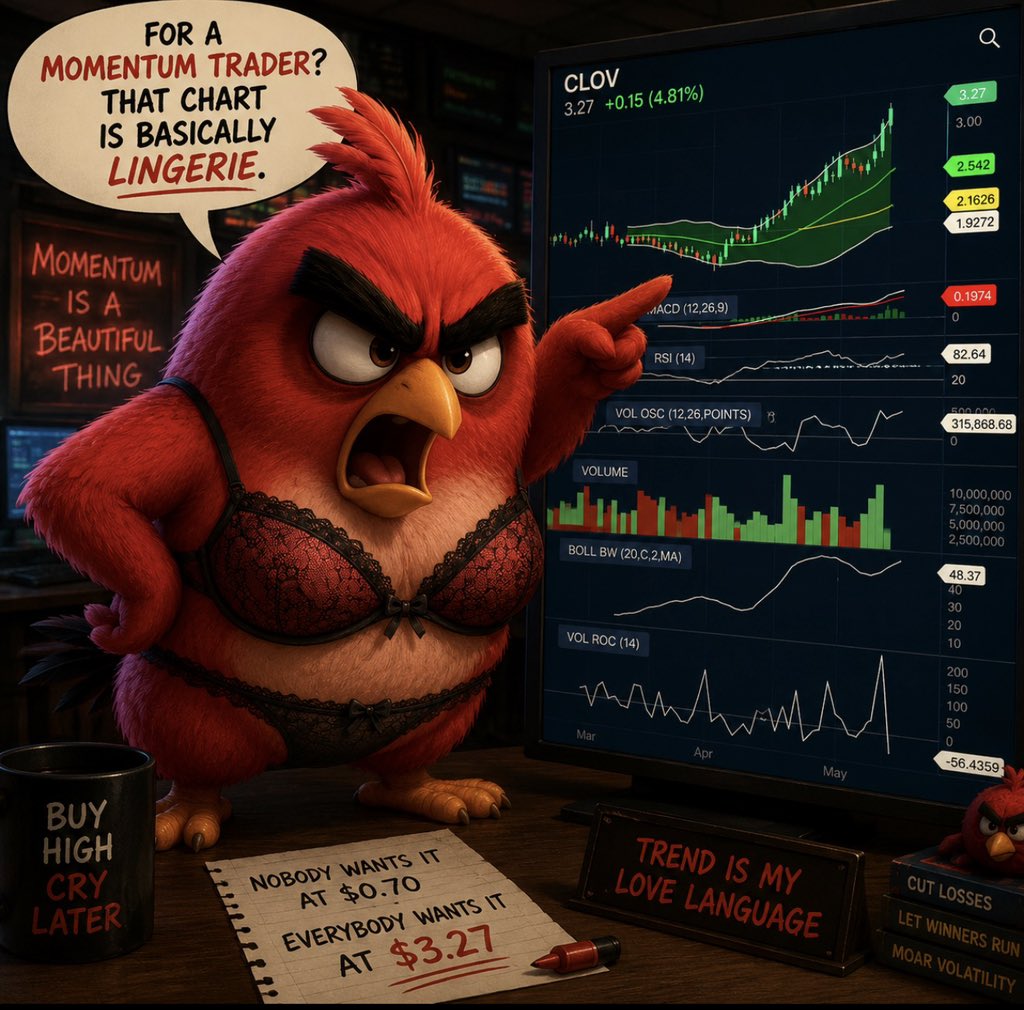 SLINGSHOT tweet media