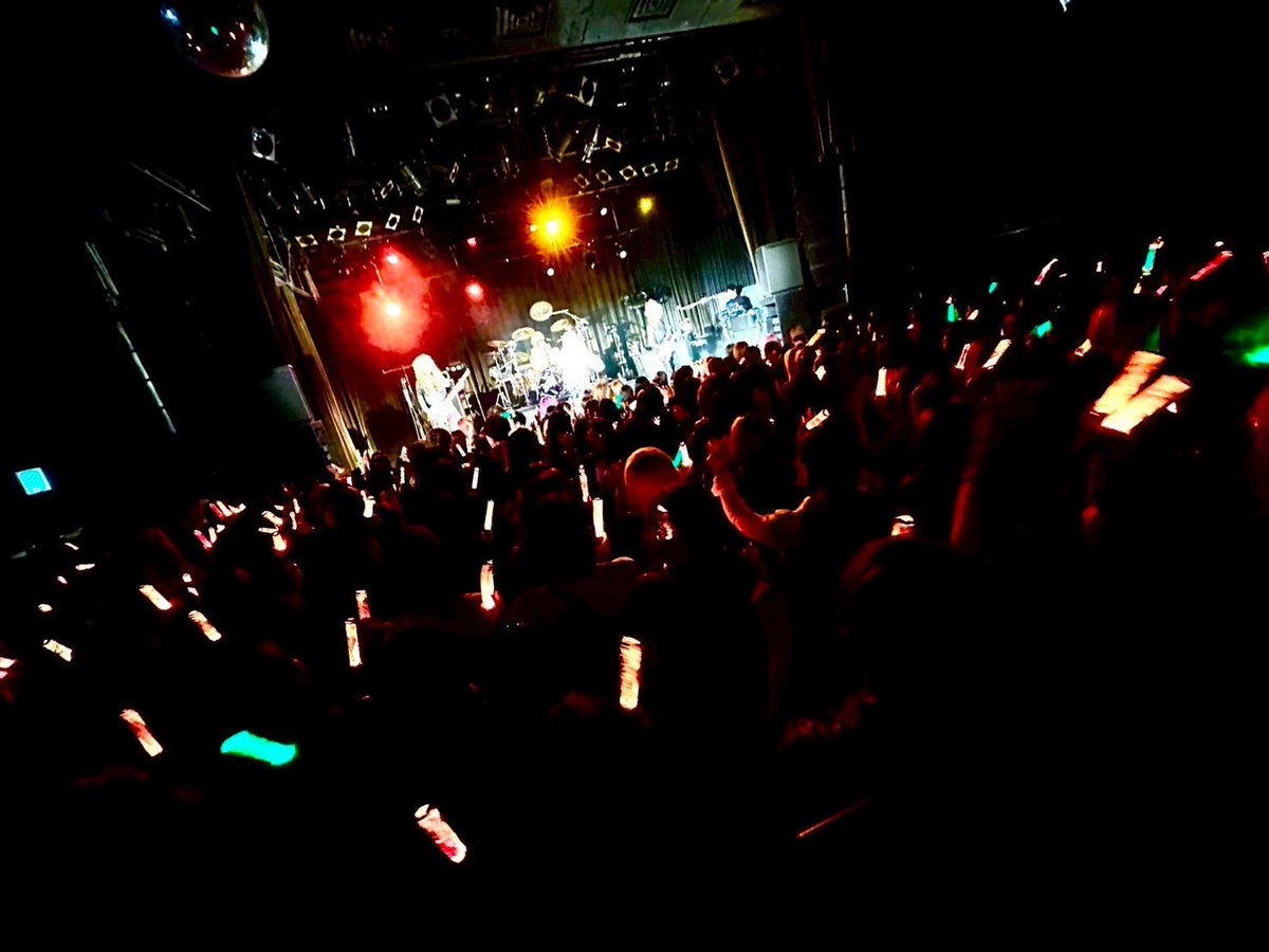【Royz】智也 tweet media
