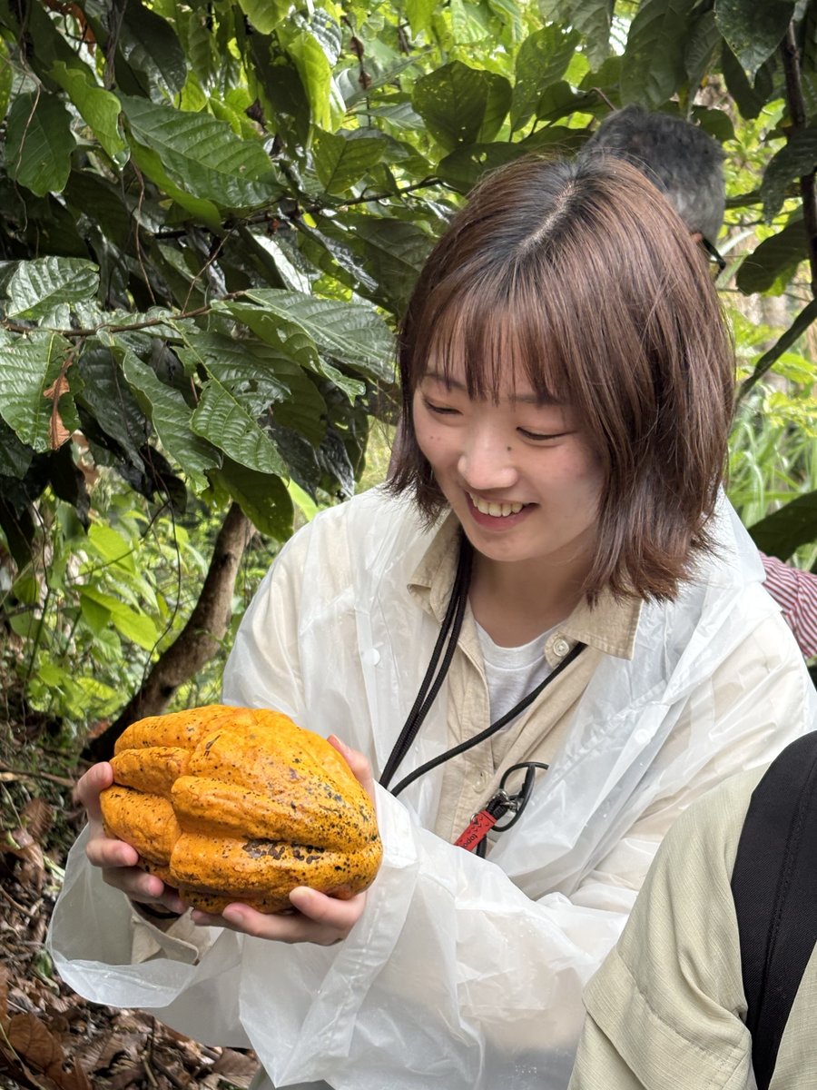 INIAPECUADOR's tweet photo. #Palanda | INIAP participó junto a @asopromas , YACHAK y una delegación de la Universidad de Hiroshima 🇯🇵 en un recorrido técnico sobre cacao y café ecuatoriano.
Investigadores compartieron avances y resultados en genética y producción de cacao. 🌱🍫 https://t.co/gkzIrgJiky
