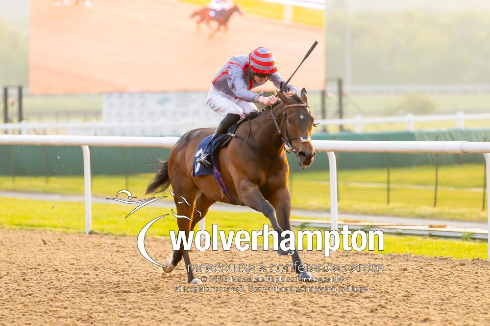 Wolverhampton Races tweet media