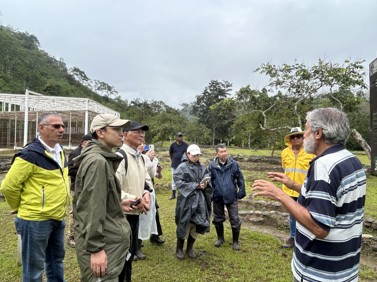 INIAPECUADOR's tweet photo. #Palanda | INIAP participó junto a @asopromas , YACHAK y una delegación de la Universidad de Hiroshima 🇯🇵 en un recorrido técnico sobre cacao y café ecuatoriano.
Investigadores compartieron avances y resultados en genética y producción de cacao. 🌱🍫 https://t.co/gkzIrgJiky