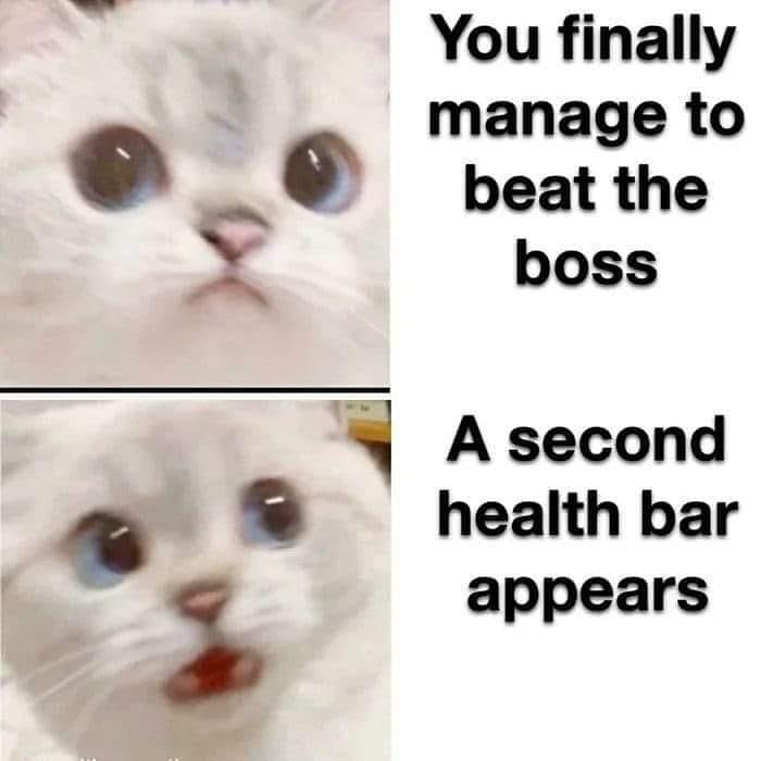 Punch Cat tweet media