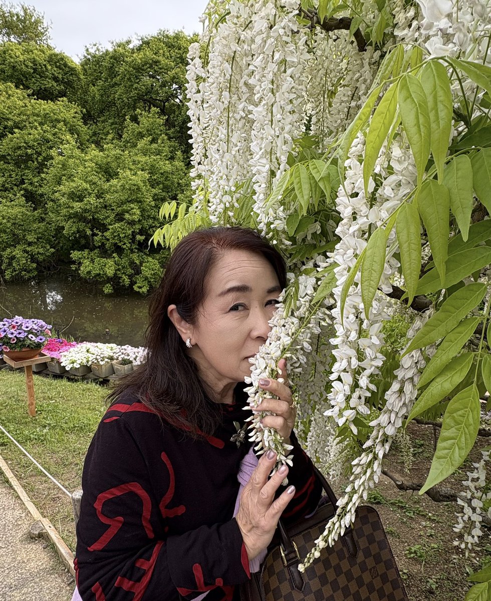 HITOMIymd's tweet photo. Mother’s Day🌷

今年のGWは母の要望で花巡りの旅へ
そして、あしかがフラワーパークで藤を鑑賞
写真撮って、と藤の花に埋もれる母🤣

ウチの母はちょっと変わっていて、華道の先生でもあるんだけど、日々妄想癖が強いというか…突然やる気スイッチが入って創作活動始めたりね…

いつもありがとう🌹 https://t.co/CU202Lyq8u