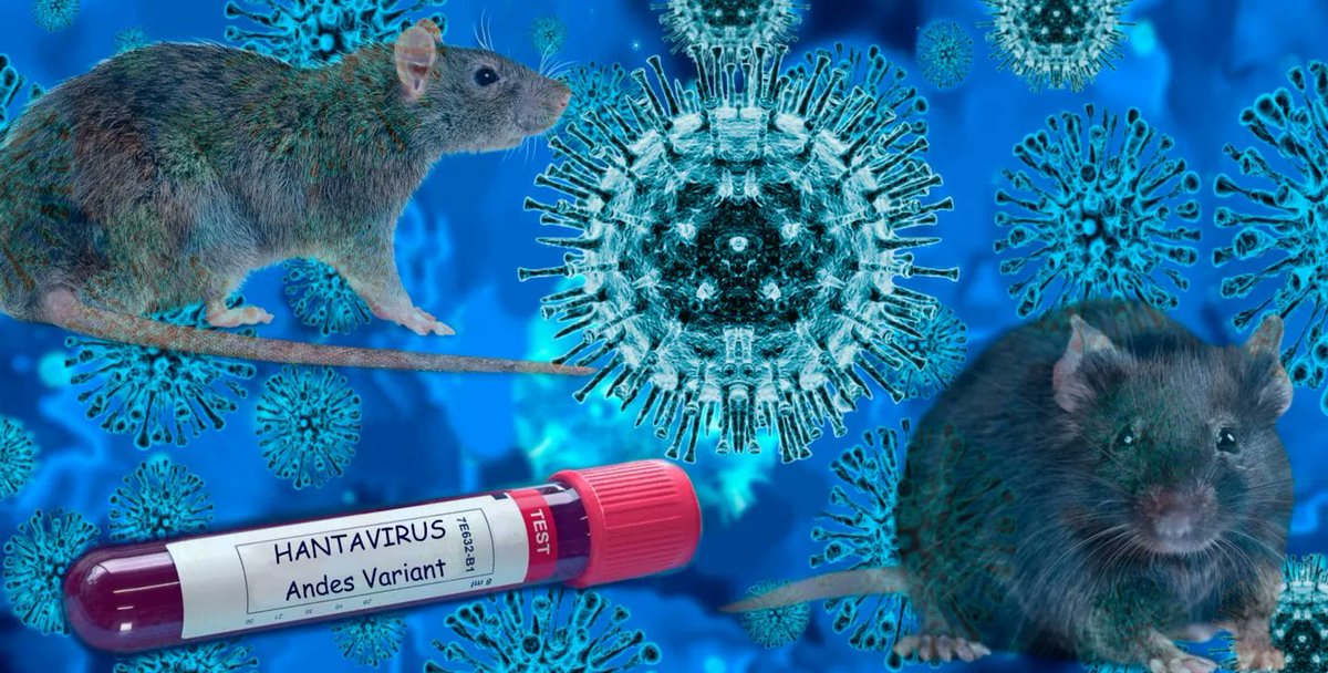 TweetLatestNews's tweet photo. 7 new hantavirus cases have been reported after being evacuated from cruise ship in deadly outbreak. #outbreak #hantavirus https://t.co/GezODBBwx9