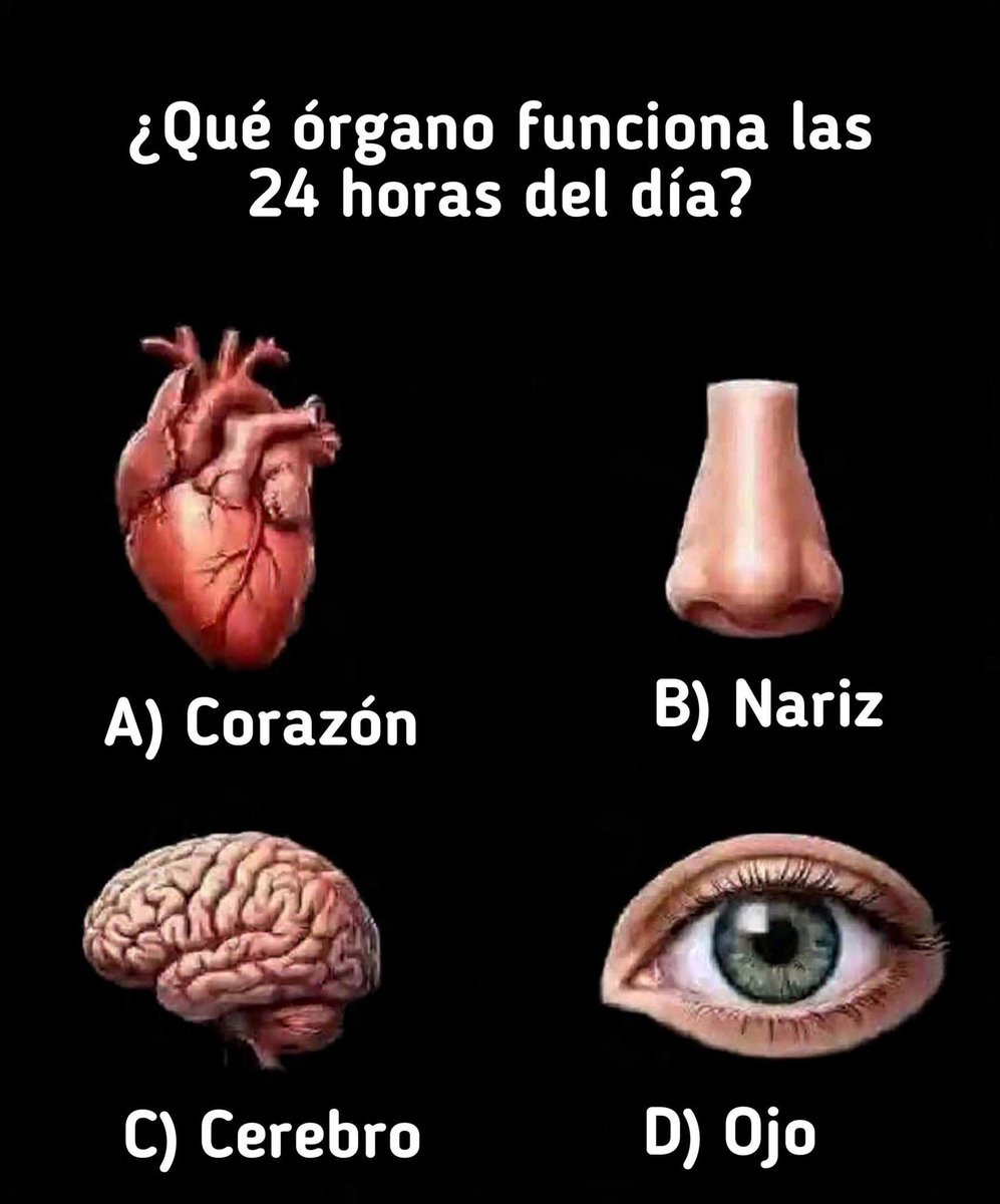El Meme tweet media