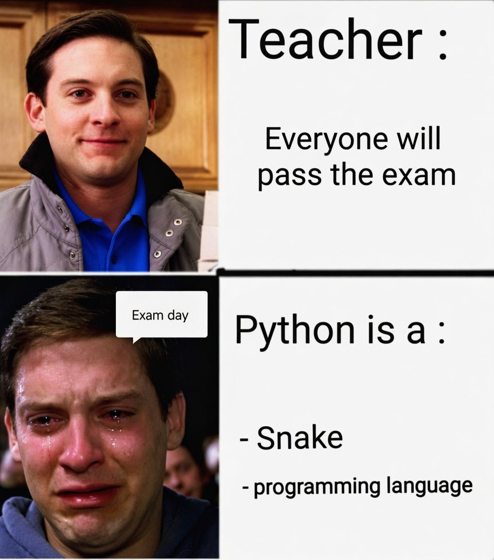 Python Programming tweet media