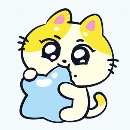모찌중원 🐈 tweet media