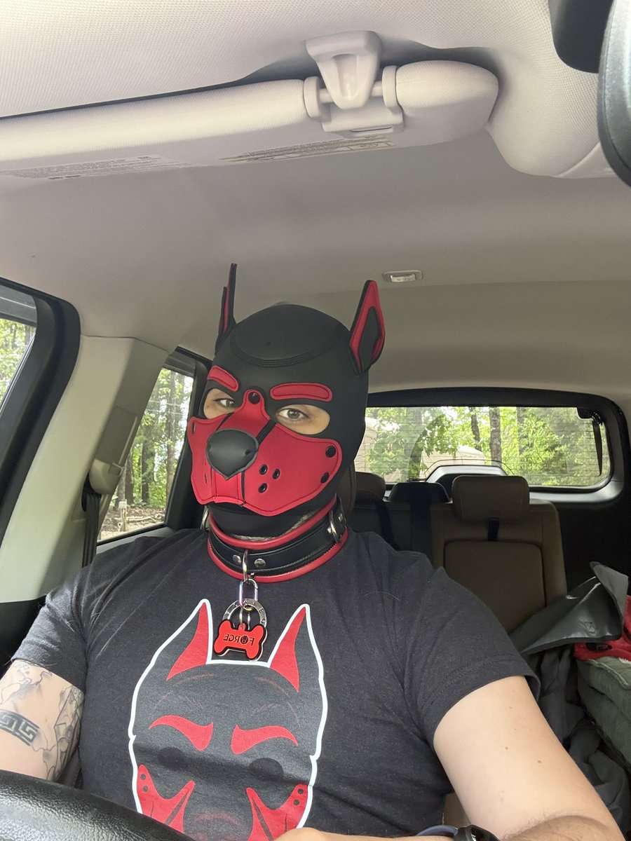 RedLitePup tweet media