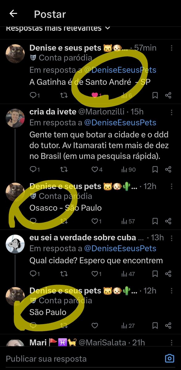Leon Muskito tweet media