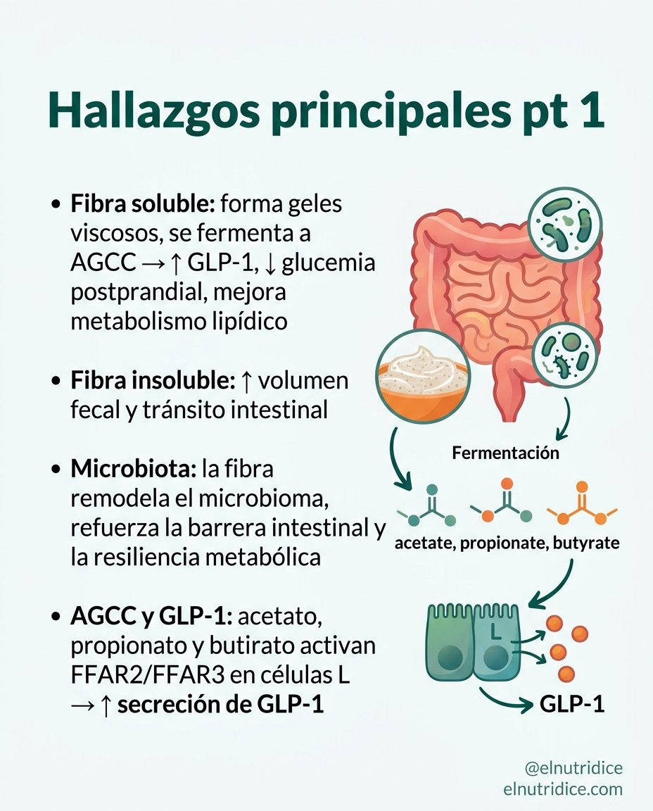 ElNutriDice's tweet photo. 🚨NUEVO: La importancia de la fibra en pacientes en tratamiento con agonistas de la GLP-1: https://t.co/xUJa0NDGoi

👉🏽Nos vemos en consulta en https://t.co/dn41MUDEzr. https://t.co/yy6CQ6Ny2e