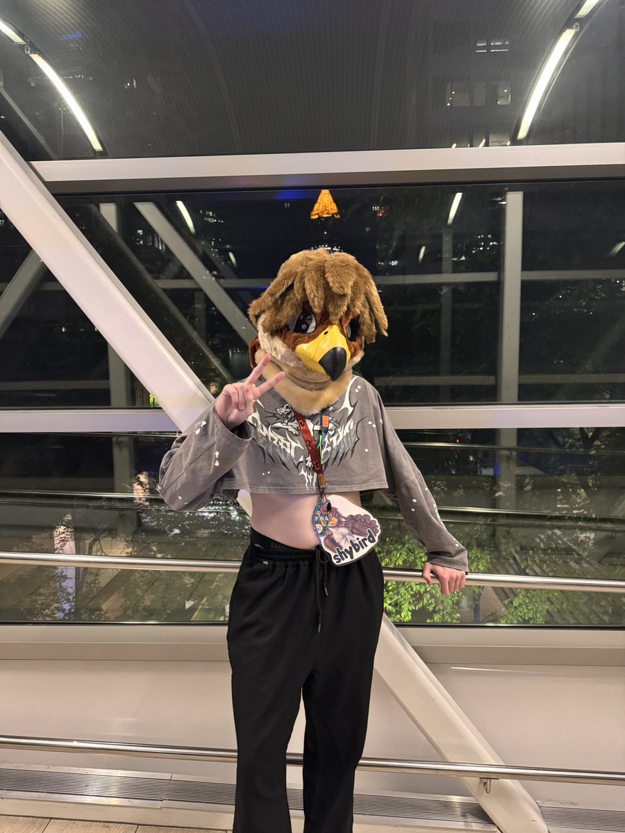 shybird 🔞 tweet media