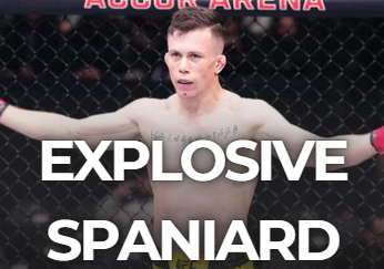 Finz Chats MMA tweet media