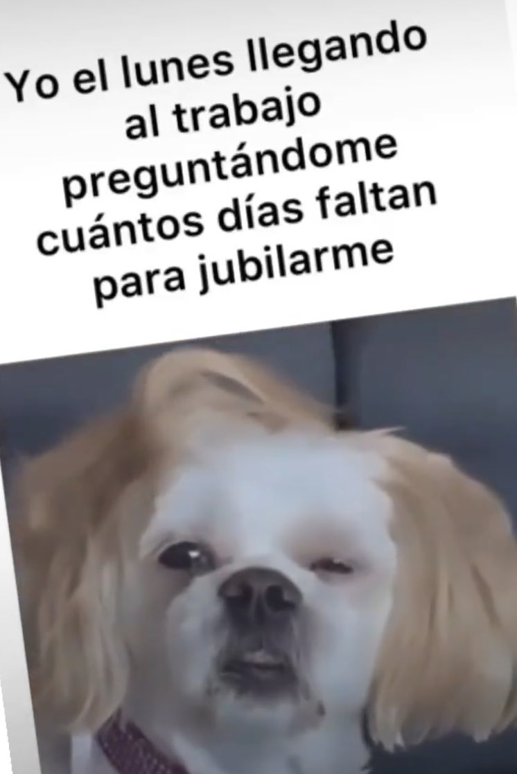 A. C. Cha de A. A. tweet media
