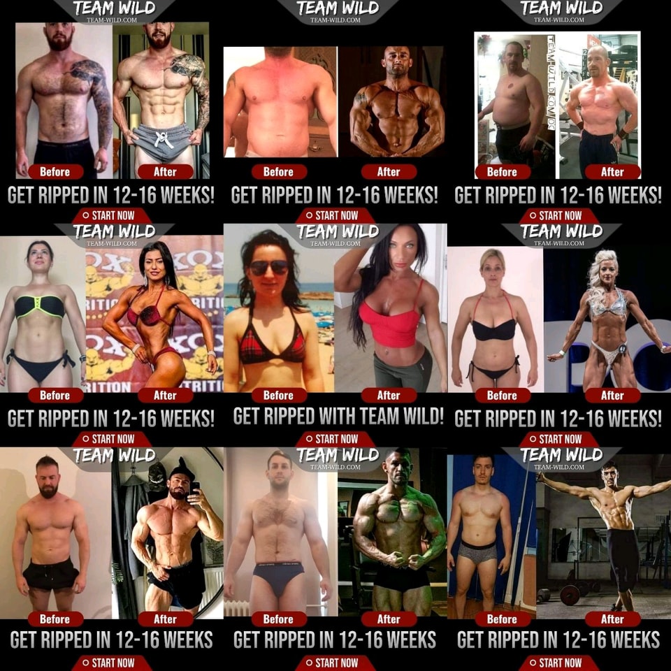 Matt__Wild's tweet photo. GET FIT! 10 WEEKS FOR ONLY 100GBP FLASH DEAL! JOIN NOW! - https://t.co/FA0pRcKF0L https://t.co/x9MFRskwIm