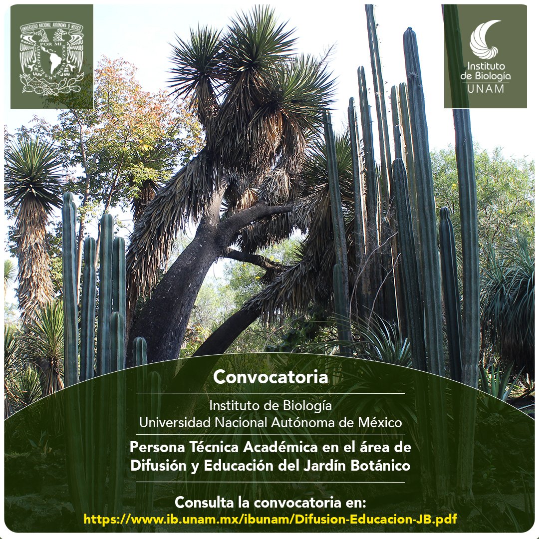 ib_unam's tweet photo. Convocatoria del Instituto de Biología de la UNAM, para una Persona Técnica Académica en el área de Difusión y Educación del Jardín Botánico.
Consulta la convocatoria en: https://t.co/MyvxYGmZgX https://t.co/L8ZYa91tvL