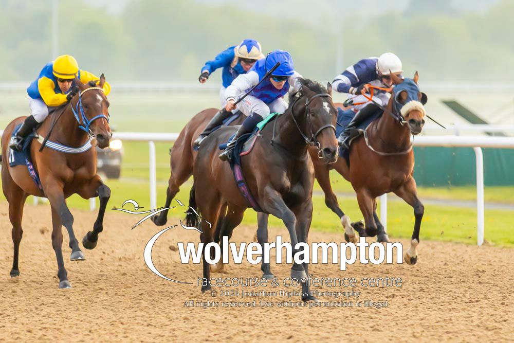 Wolverhampton Races tweet media