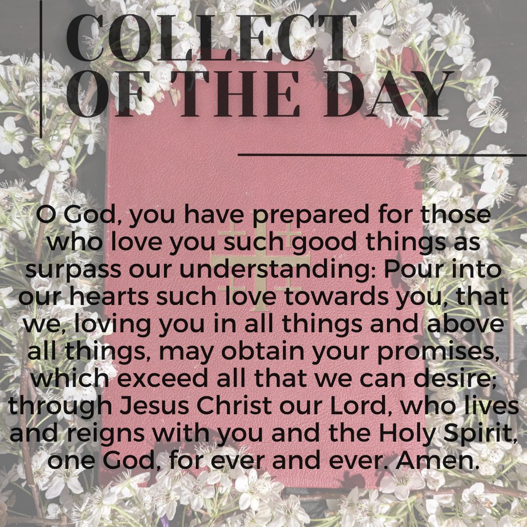 GoodShepherdBR's tweet photo. https://t.co/gJ7Bm55ic1