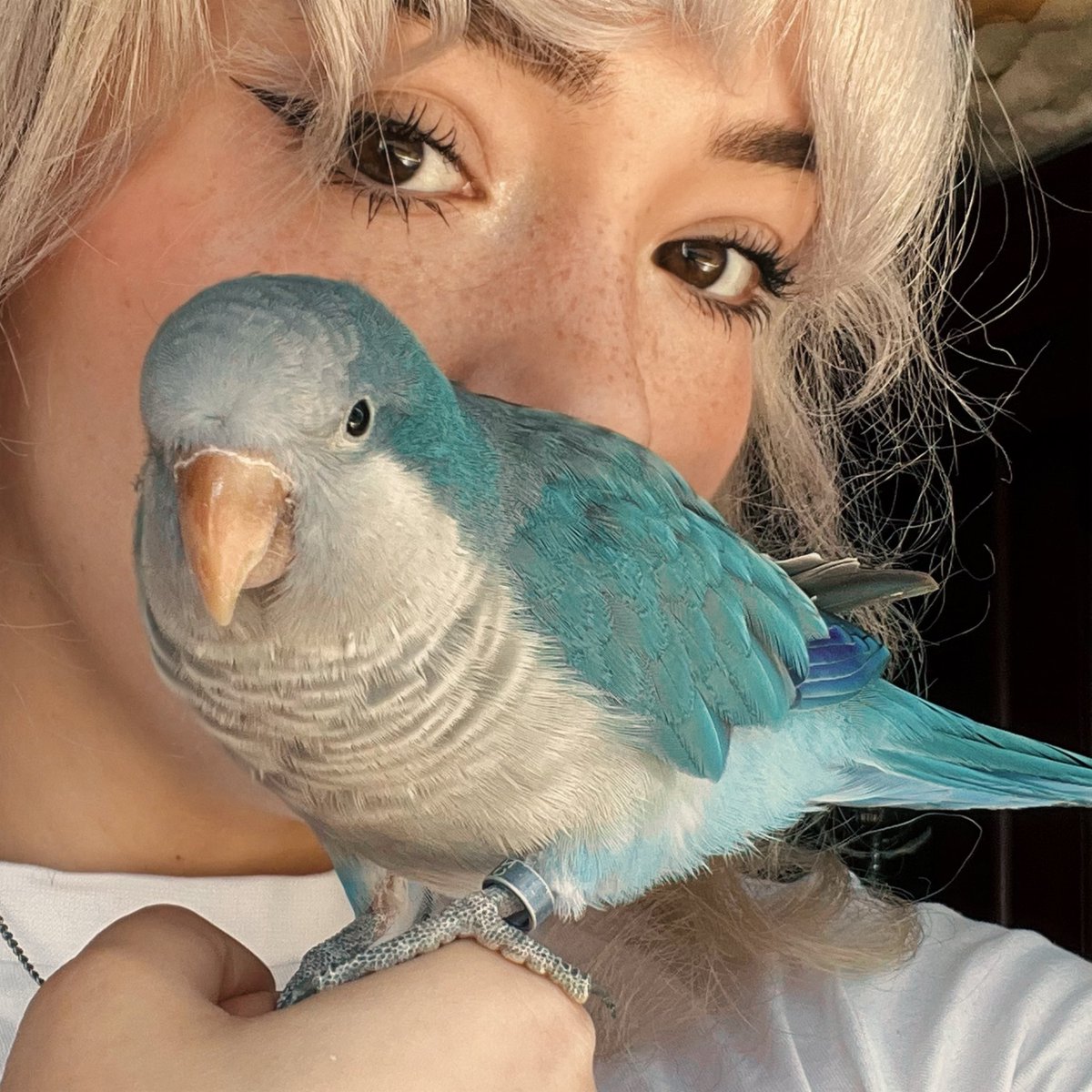 ゚✧゚ mothemi ゚✧゚ tweet media