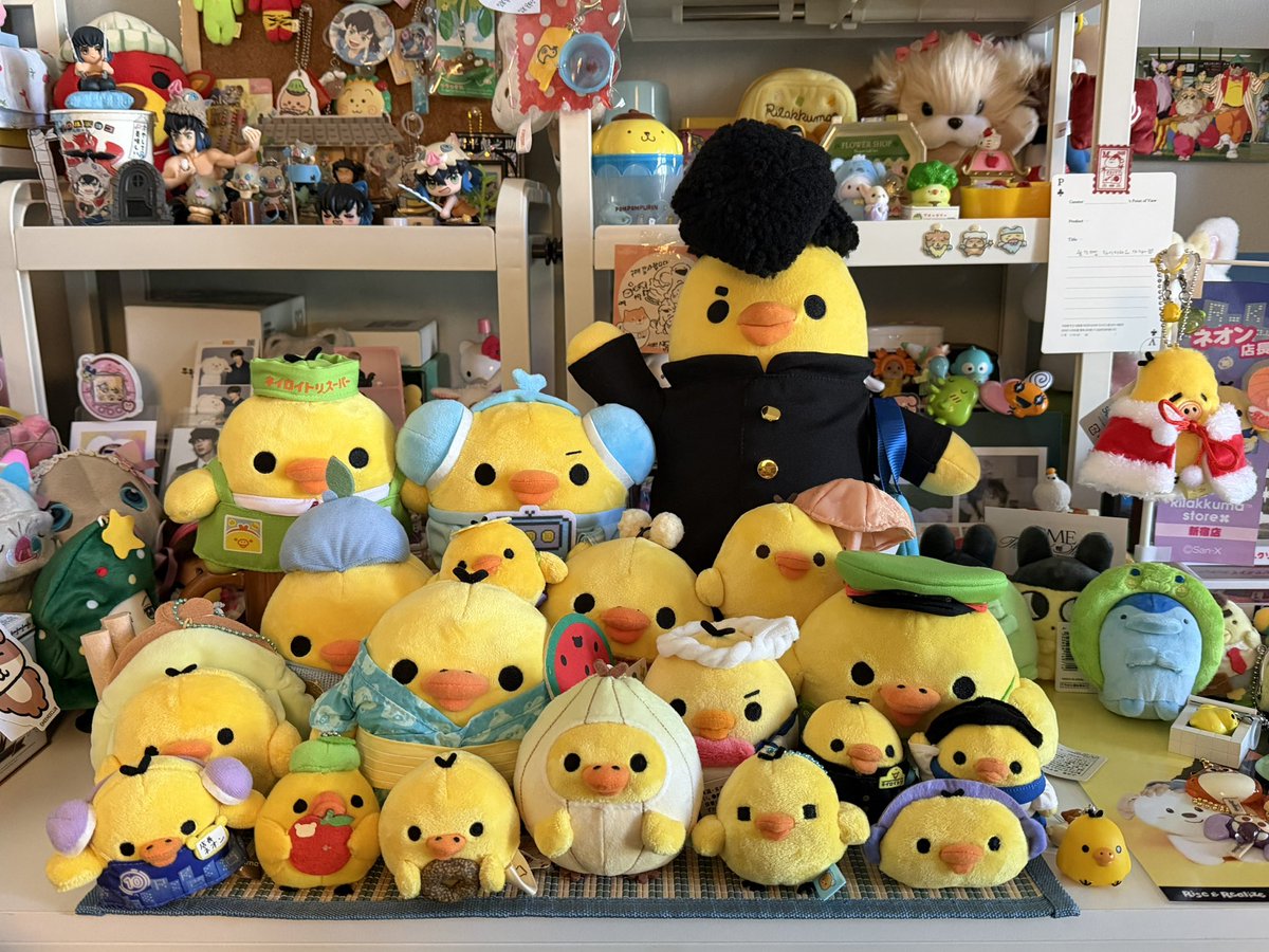 돼지병아리 tweet media