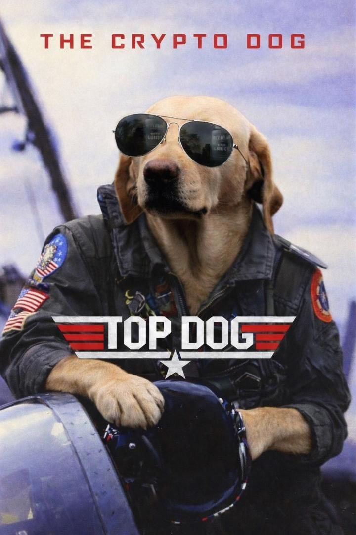 SylentHash ($DOG ARC) tweet media